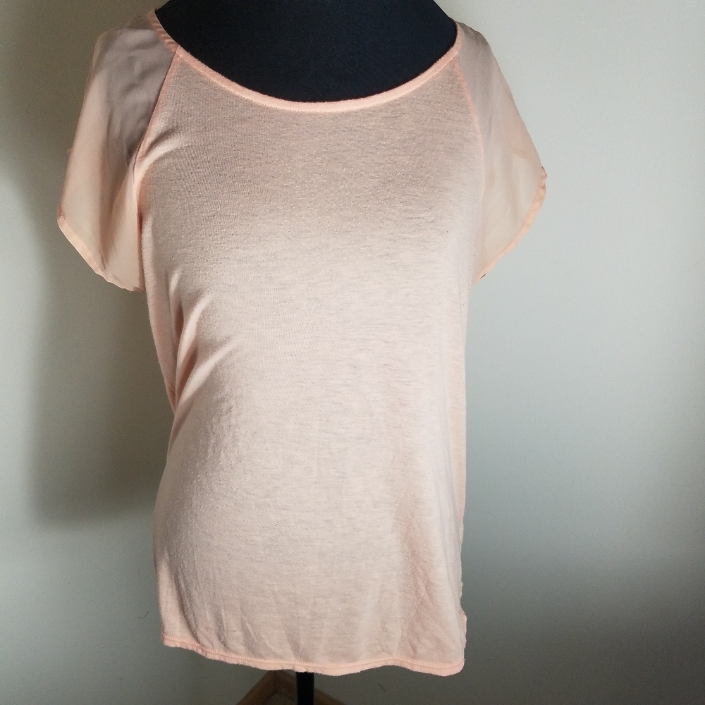 American Eagle Peach Tee With Clear Sleeves/back